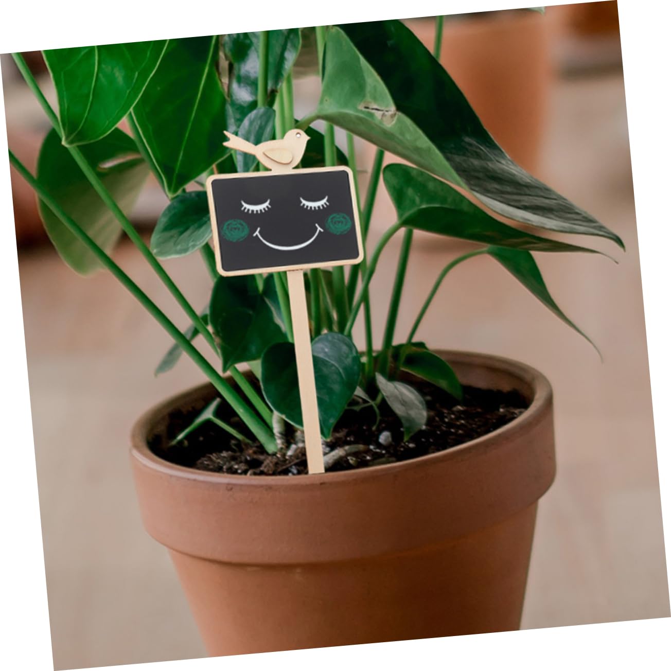 BESPORTBLE 40pièces Étiquettes De Jardin Bois De Marqueurs Pour Plantes Étiquettes Ardoise Pour Identification Des Fleurs Décoration De Balcon