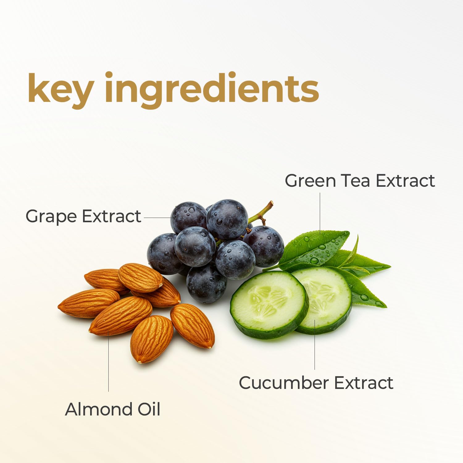 Pioom Rice Bran Cleansing Foam | Hydrating Face Wash for Sensitive Skin | Gentle K-Beauty Cleanser with Soft Creamy Texture & Lovely Scent | Family Size 16.9 fl oz - Image 5