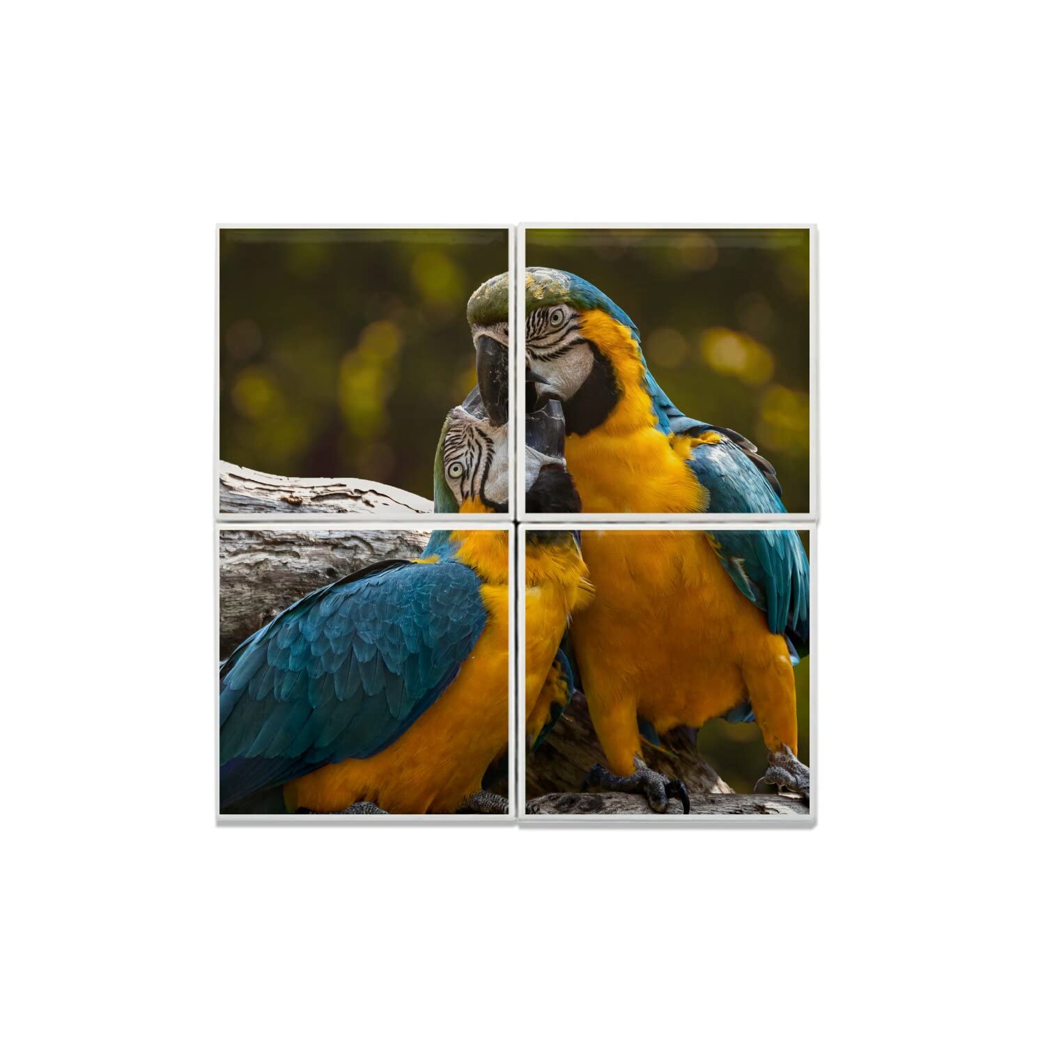 Oiseaux Perroquets Céramique 40x40 cm - Cadeau Saint Valentin Idéal