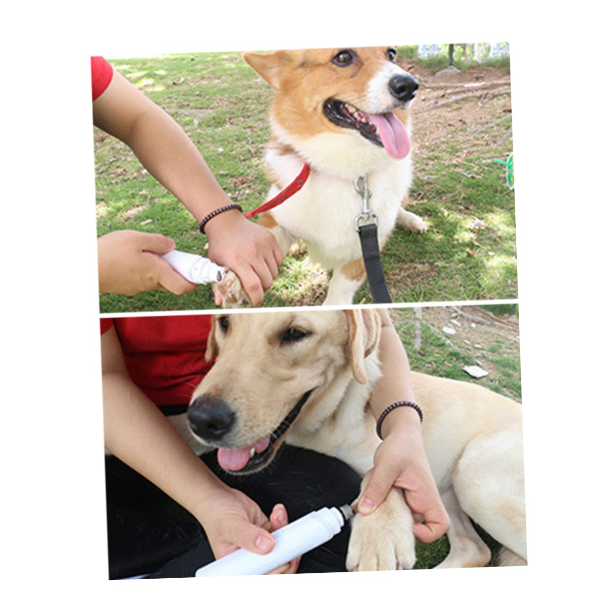 POPETPOP 3 Piezas Cortauñas Eléctrico para Perros Uñas De Mascotas Peluquero De Uñas para Perros Cortadora De Pata De Mascota Cortaúñas para Mascotas Cizallas De Molienda Automático