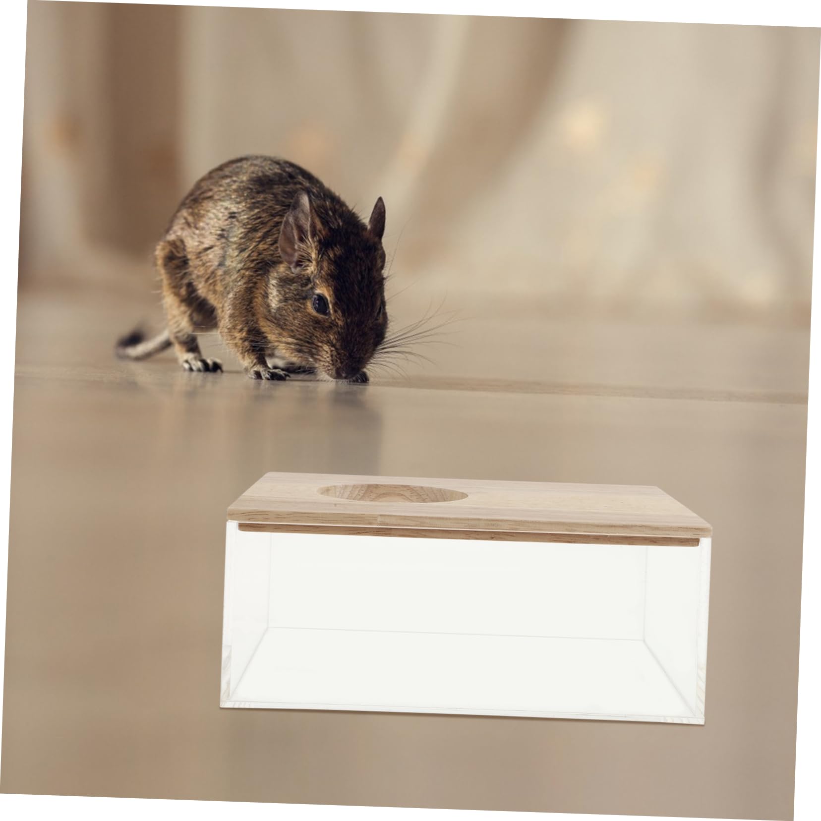 Transparentes Hamster Sandbad mit Spritzschutz, Acryl Holz, für Kleintiere