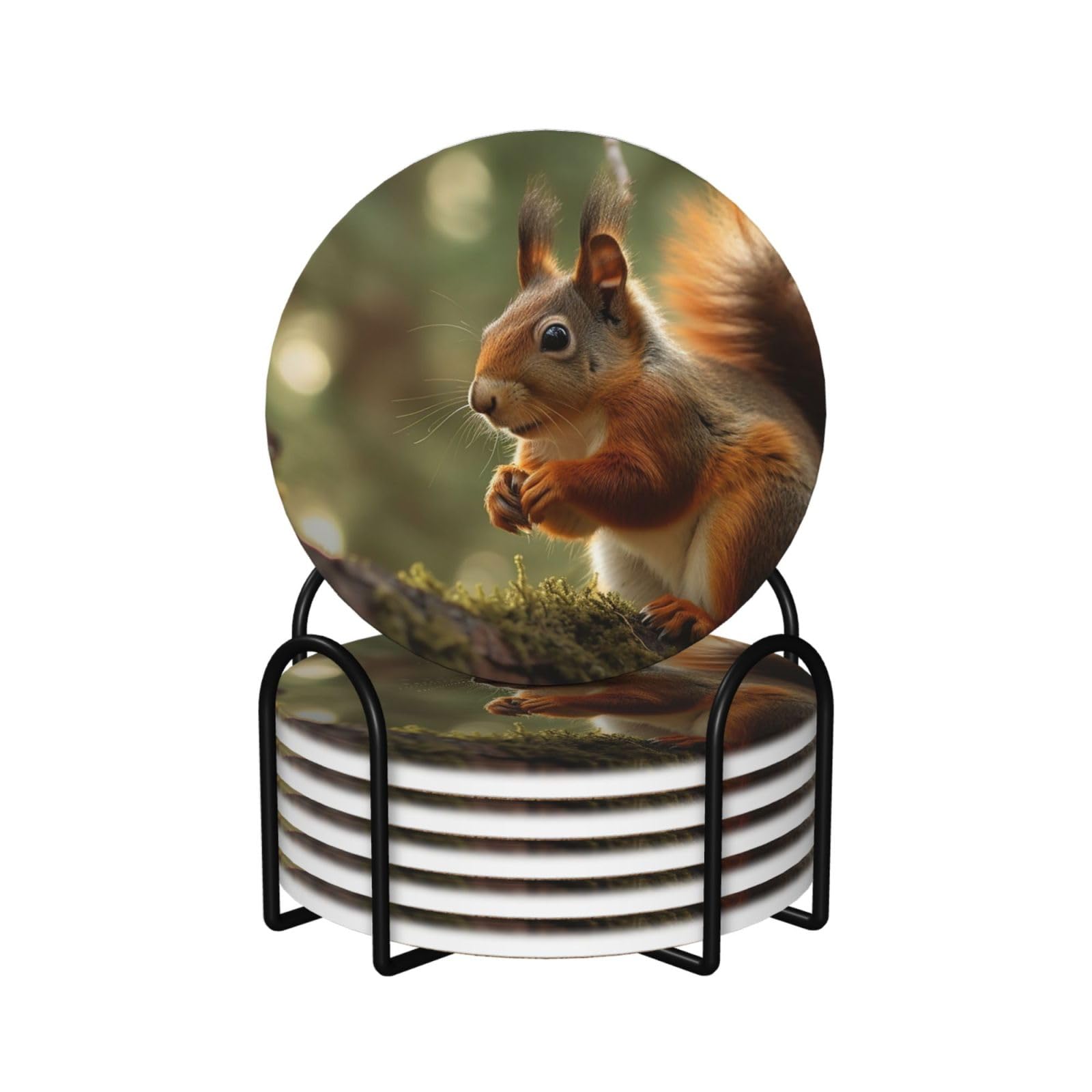 6Pcs Ceramics Coaster for Drinks, Wildlife Forest Squirrel Cup Coasters with Holder, Aesthetic Drink Coasters for Coffee Table, Absorbent Round Coaster for Tabletop Protection 4" Cup Mat Pad