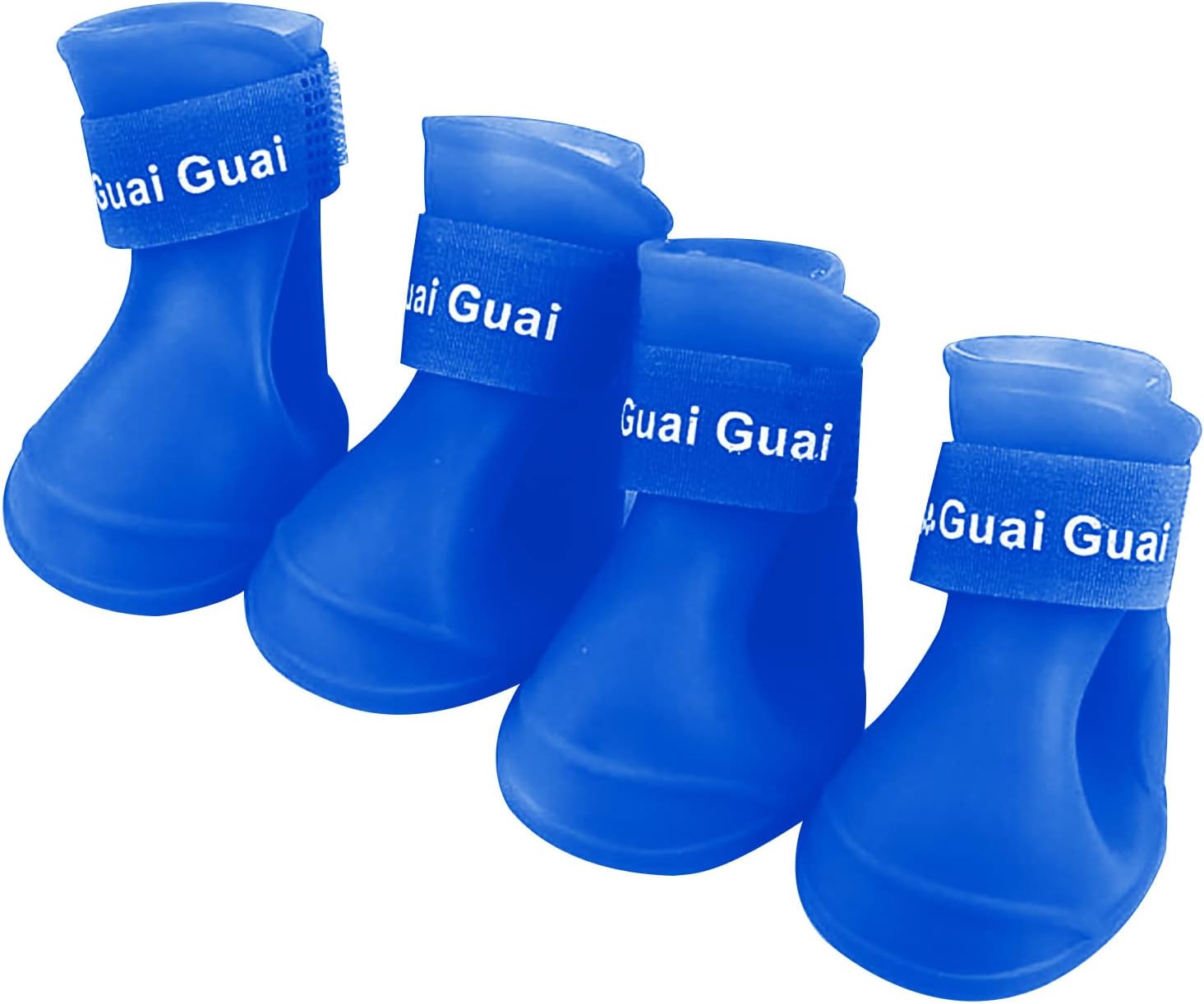 Pet Supplies for Cats Kitty Litter Sporty Pet Winter