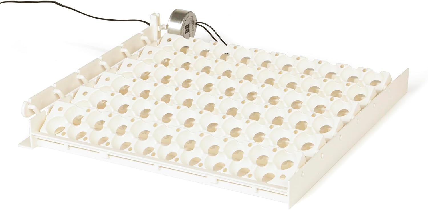 Farm Innovators 6 Pack Quail Rails - 20 Spot Small Egg Trays Only, Fits up to 120 Eggs Total - Compatible with Model 3200 Automatic Egg Turner