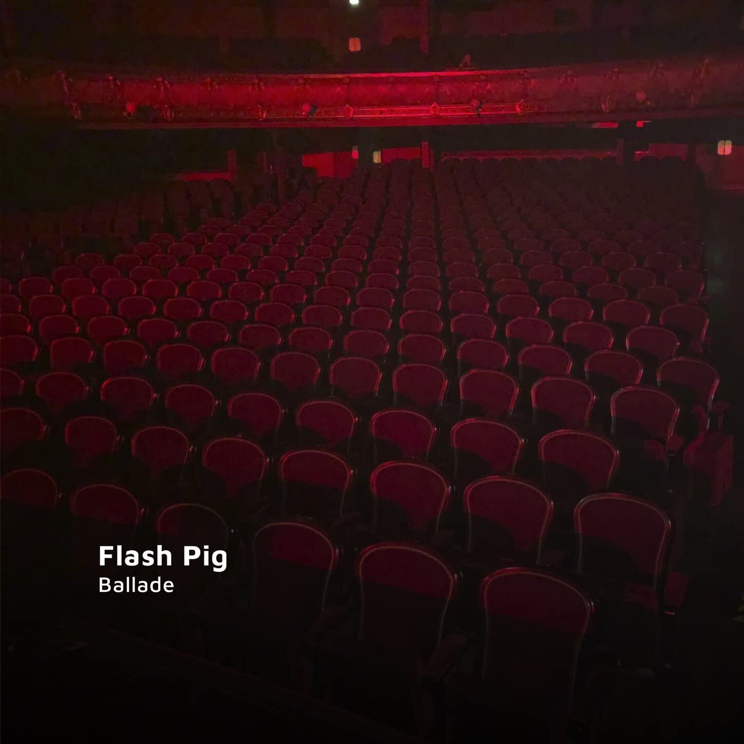 Flash Pig