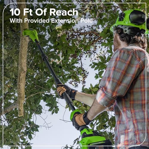 Image of Greenworks 24V 8 in Cordless Electric Pole Saw, Tool Only
