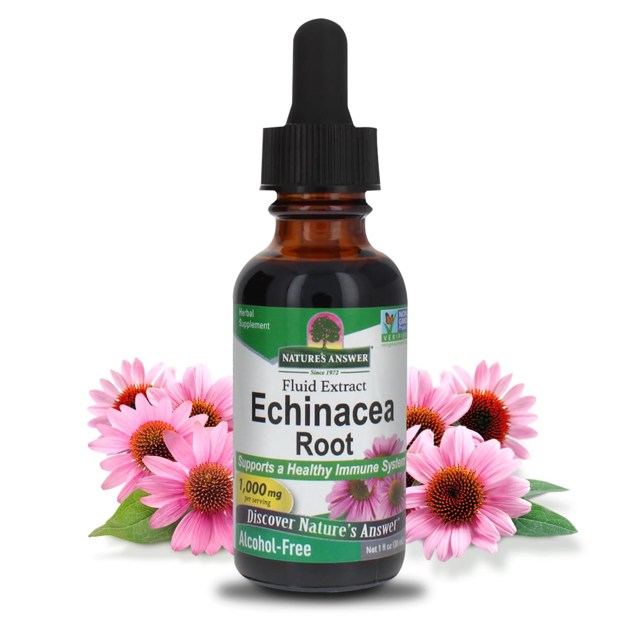 Nature's Answer Echinacea Alcohol Free Extract 1 Fluid Ounce | Promotes Overall Wellness | Natural Immune Booster | Inflammatory Reducer