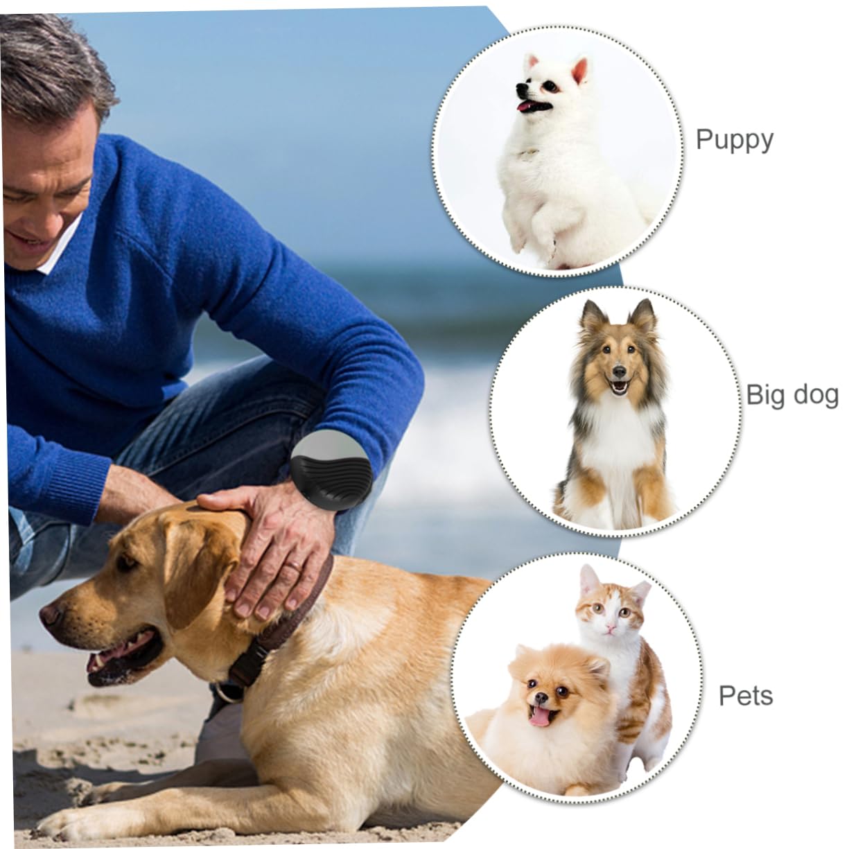 1pieza Correa De Perro Automática Extensible De Strap De Tracción para Mascotas Cuerda De Nylon Cómoda y Ligera para Paseos y Entrenamiento