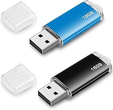 Pack of 2 16 GB USB Flash Drive 16 GB USB 2.0 Flash Drive 16 GB for Laptop/PC/Car etc