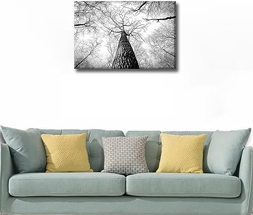 Vista 229 de 1 lienzo decorativo para pared, ferrocarril a través del bosque de pinos con niebla, decoración moderna para el hogar, sala de estar, arte de pared