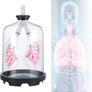 Diaphragm Movement Simulator, Lung Breathing Model, Lung Anatomy Model, Biology Teaching aids for Medical Students, Laboratories, and classrooms.