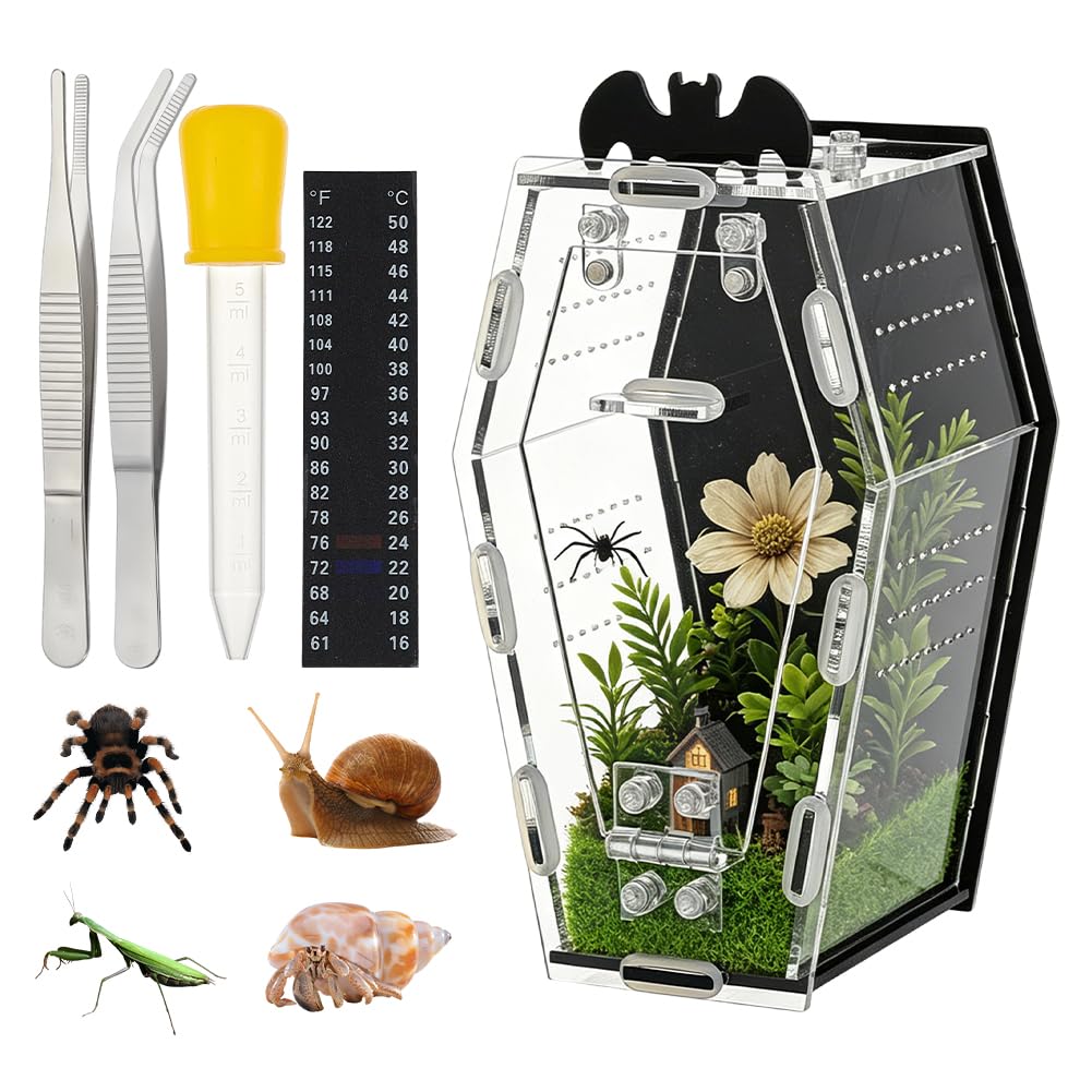OLYCRAFT Hábitat Acrílico Para Arañas Saltadoras Con Kit De Alimentación Y Cuidado Recinto En Forma De Ataúd Para Tarántulas, Lagartos Y Mantívoras Con Puerta Frontal Abatible