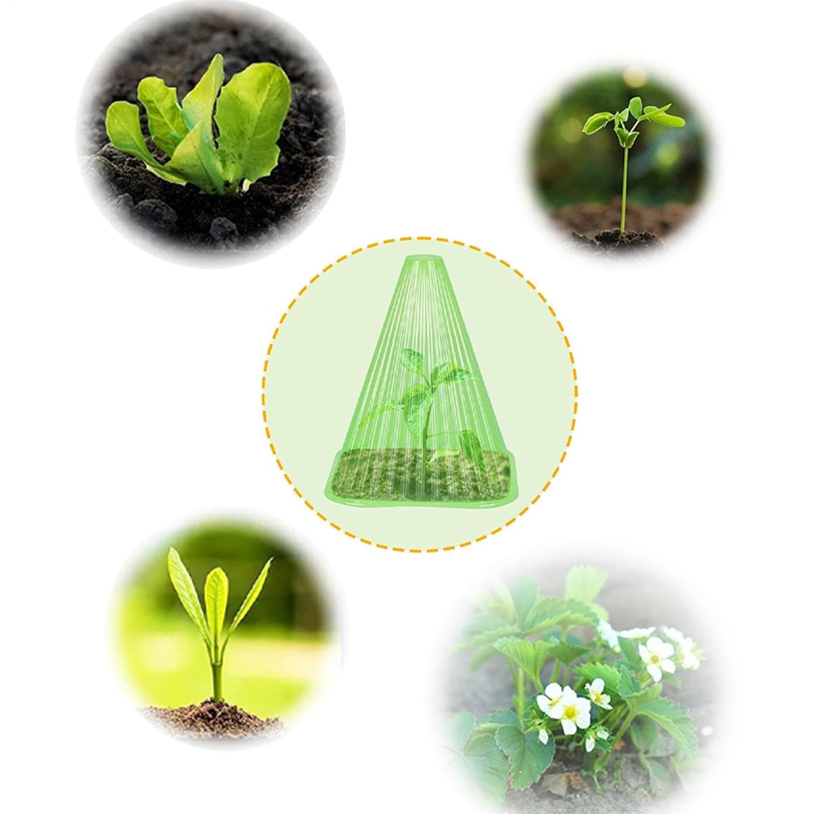 Cloches da giardino, cloche di piante - Cloche di barattolo a campana trasparente per piantine di piante | 30x cloche di barattolo a campana trasparente con protezione resistente al clima della copert