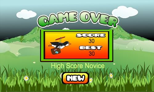Hover Bird – vue 4