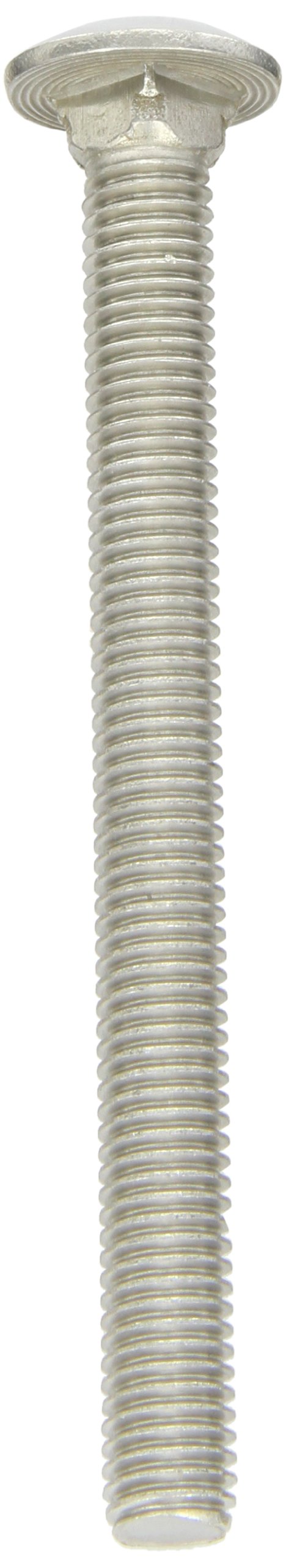 18-8 Stainless Steel Carriage Bolt, Plain Finish, Square Neck, Round Head, Meets ASME B18.5/ASTM F593, 6