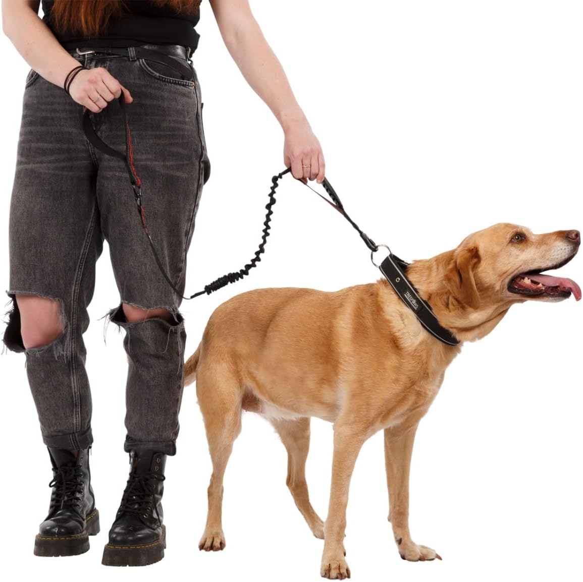 Trespaws Dog Lead Shock Absorbent Bungee Lead Reduces Pulling Zathena