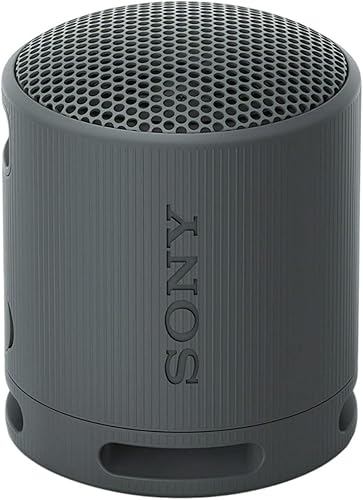 Miniatura 2 de Sony SRS-XB100 Altavoz de viaje ligero portátil inalámbrico Bluetooth (negro) con paquete de estuche de viaje (2 artículos)