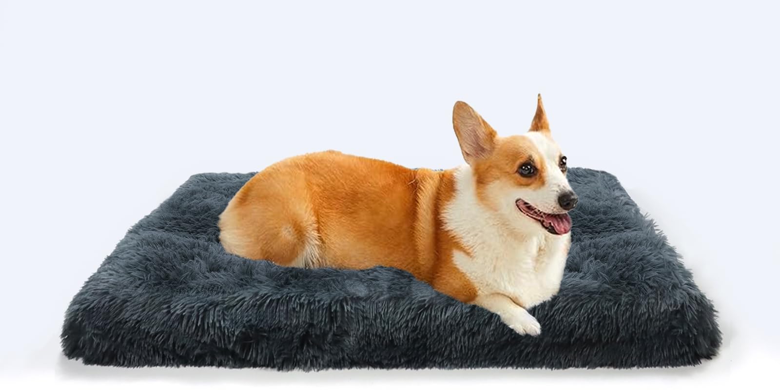 Cama Lavable para Perros Medianos con Base Antideslizante - Colchón Suave de Felpa Gris Oscuro 75x50x8 cm