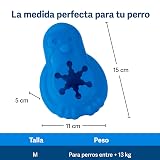 Ver la foto 6
