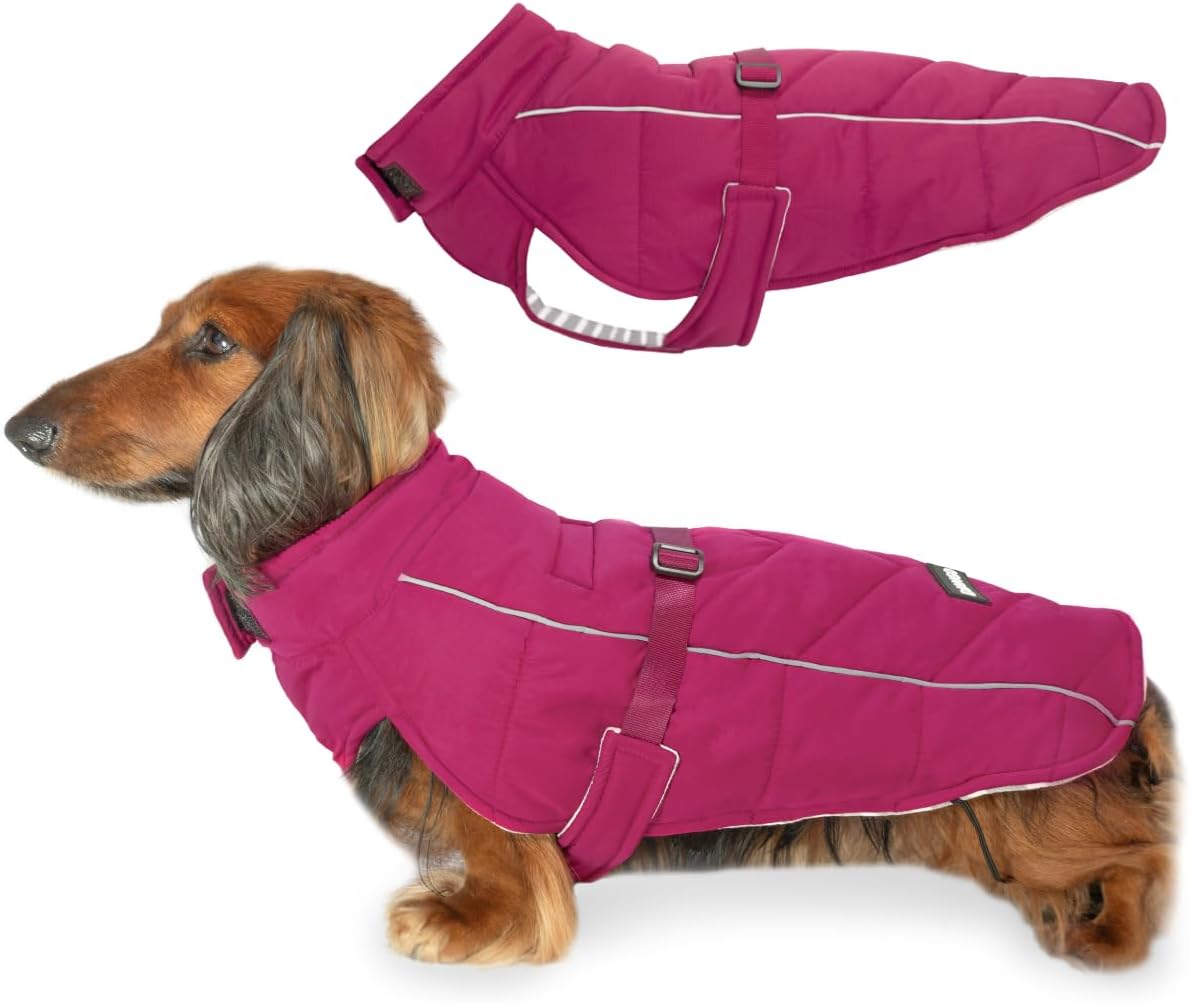 DJANGO Insulated Puffer Dog Jacket with Harness Hole – Warm, Water-Repellent Winter Dog Coat Small Dogs, Dachshunds, Puppies – Adjustable, Reflective Cold Weather Dog Apparel – Hibiscus Pink, Medium