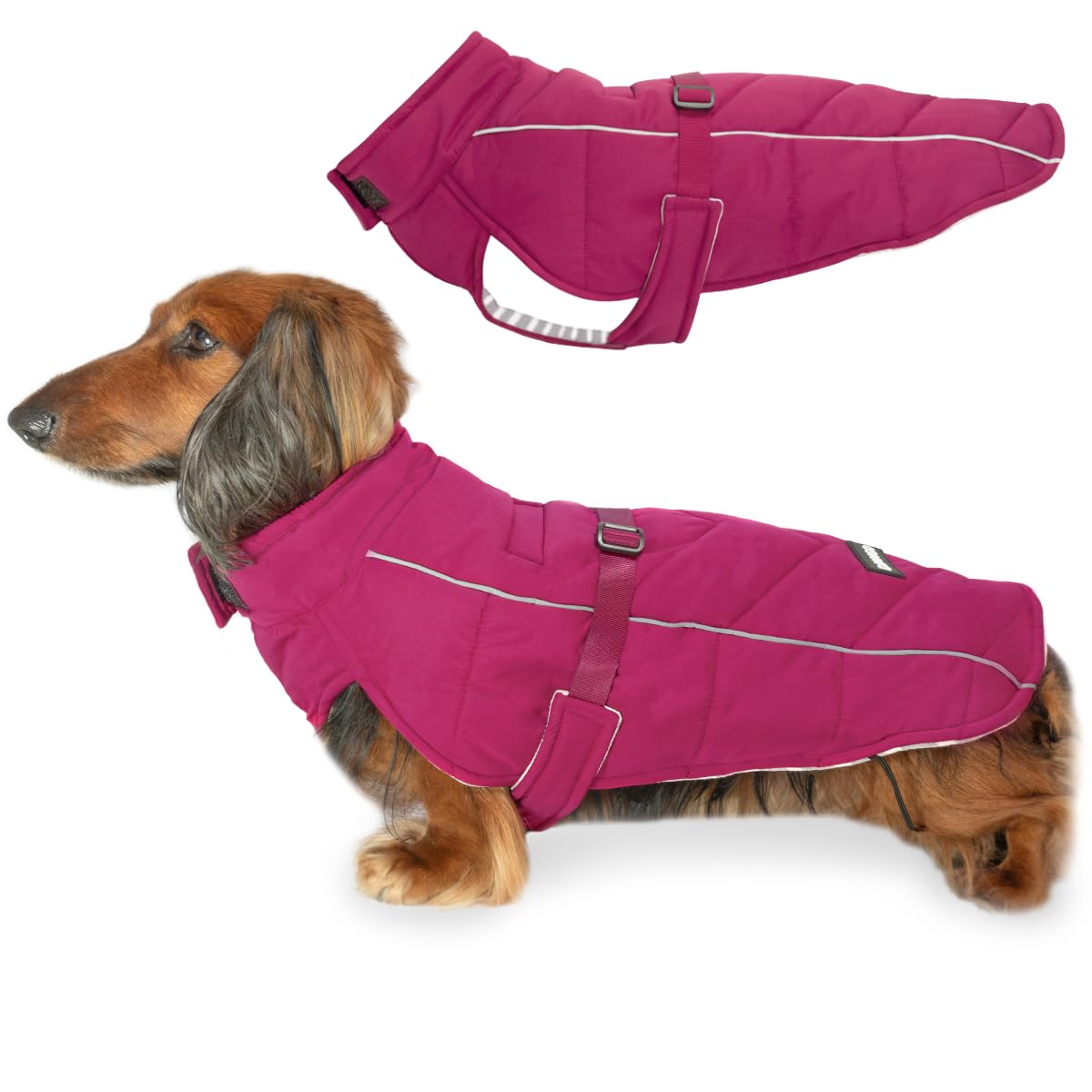 DJANGO Whistler Winter Dog Coat—Premium Warm and Insulated Dog Jacket with Windproof and Waterproof Protection—Adjustable, Reflective Piping, and Easy-Access Leash Portal (Hibiscus Pink, Small)