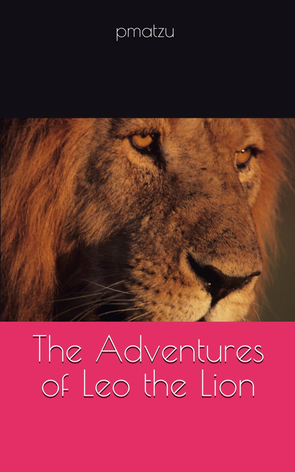 The Adventures of Leo the Lion