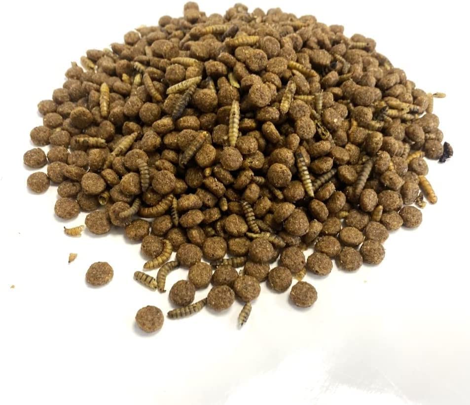 Hedgehog Food With Calciworms 1kg Premium Complete Food LGW