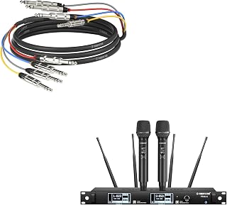 Phenyx Pro True Diversity Wireless Mic System PTAU-2 Bundle with 10Ft TRS Snake Cable PCBL-QR4IN1-10