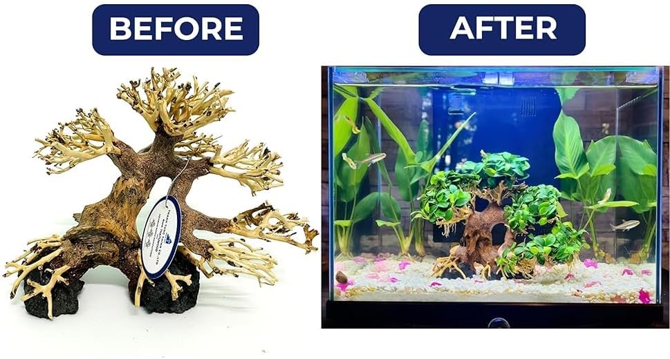 Miniatura 2 de Árbol de acuario bonsái de madera flotante (8 pulgadas de alto x 6 pulgadas de largo), decoración de pecera hecha a mano  Bonsái de madera flotante