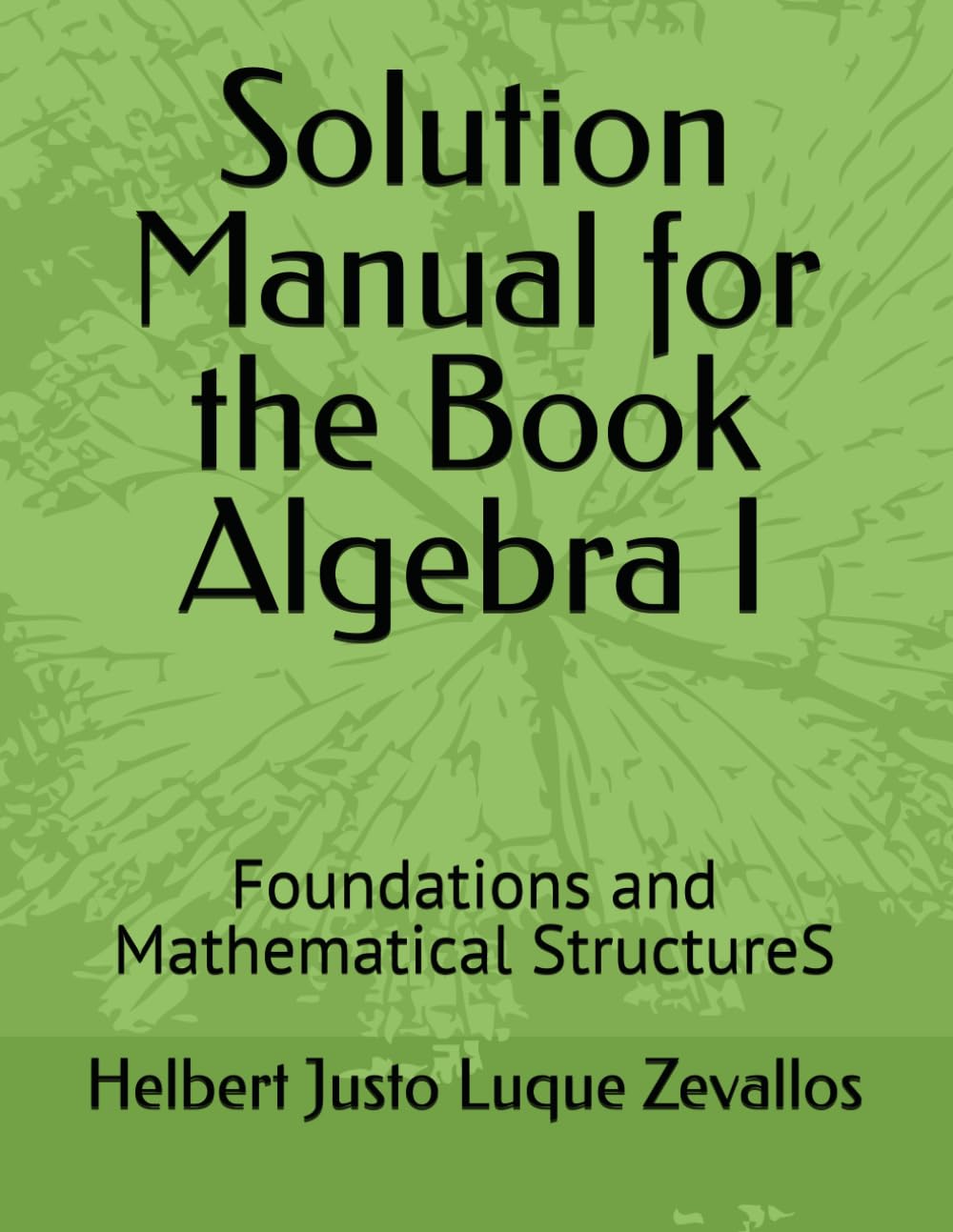 Solution Manual for the Book Algebra I: Foundations and Mathematical StructureS (Solution Manuals of the Bachelor's Degree in Mathematics Series)