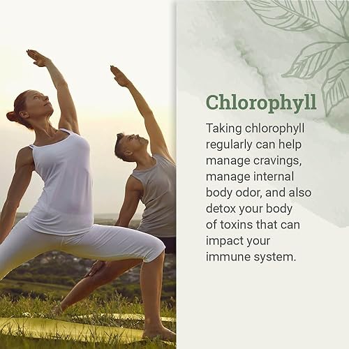 Miniatura 2 de Clorofila líquida, gotas líquidas para apoyo del sistema inmunológico, desodorante interno natural, gotas de clorofila vegana con glicerina