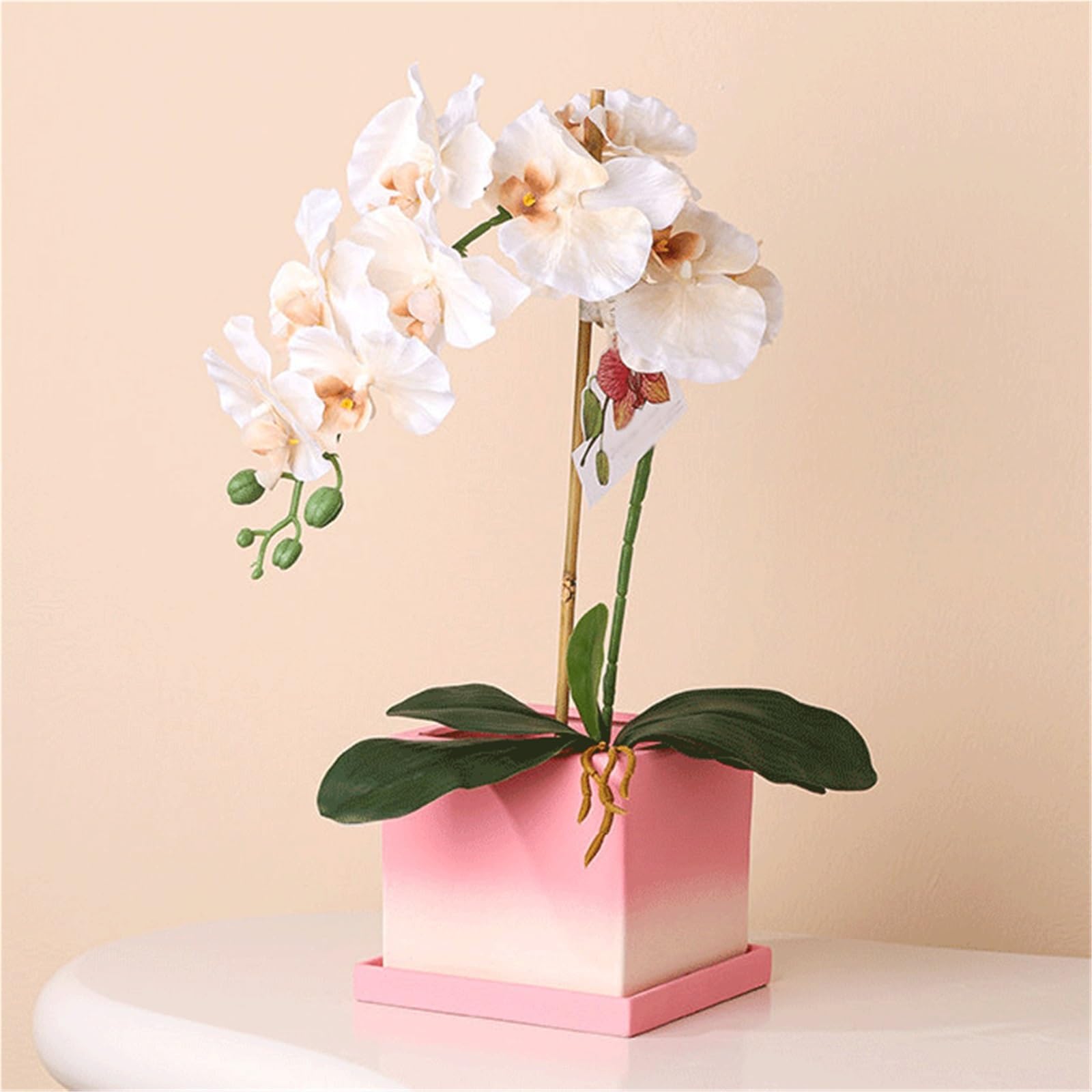 Doniczka Ceramiczna kwadratowa doniczka na storczyki Phalaenopsis, sukulenty i pothos Rośliny domowe, sukulenty, kwiaty(Duży)
