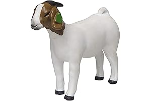 Grand Doe: The Little Buster with a Big Personality