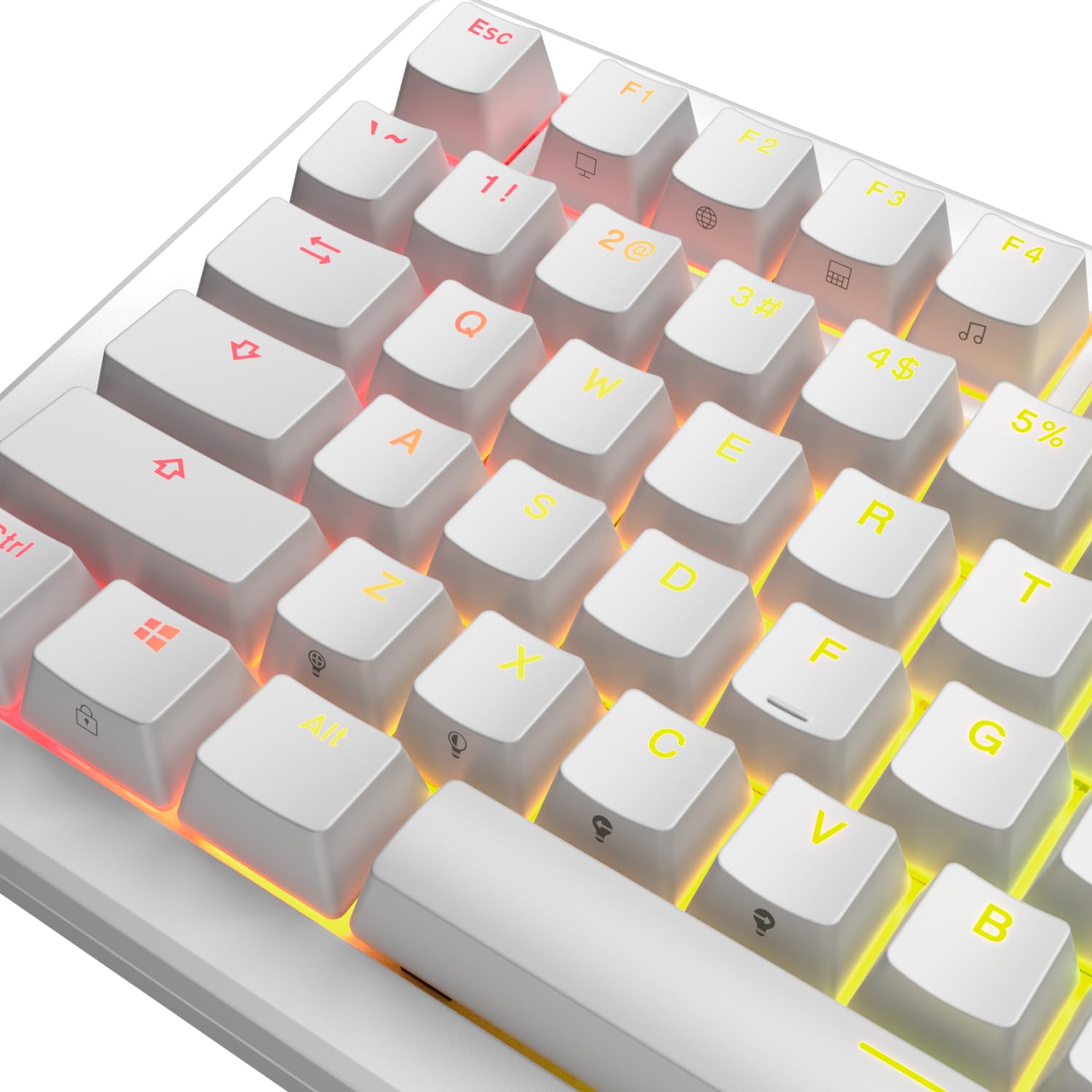 【人気商品】Glorious GPBT Backlit Keycaps Whit Amazon.com: Glorious Gaming - GPBT Backlit Keycaps (White