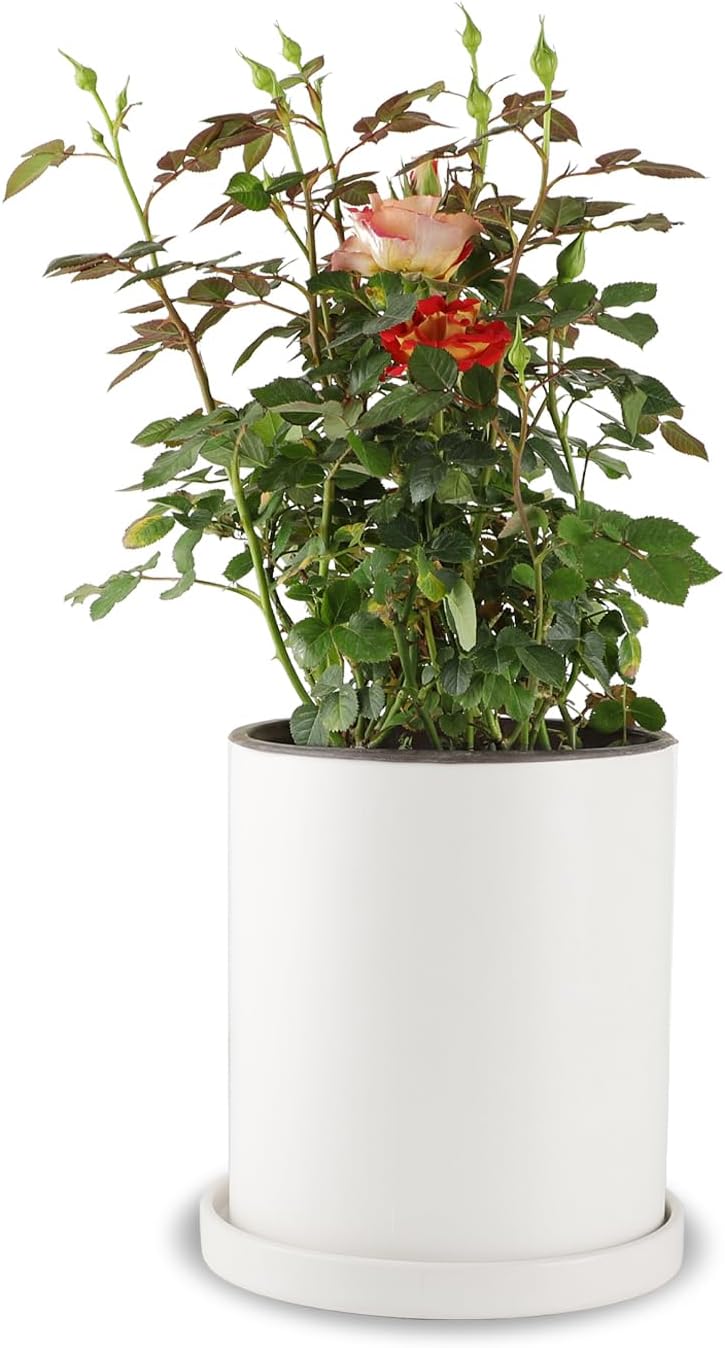 Mozing Ceramic Plant Pots Indoor - Garden Planter Pot for Planting - Modern Flower Pots with Drainage Hole for Home & Office Decor?7x8.5 in Frosted surface) 7 inch Small White (Matte Finish)