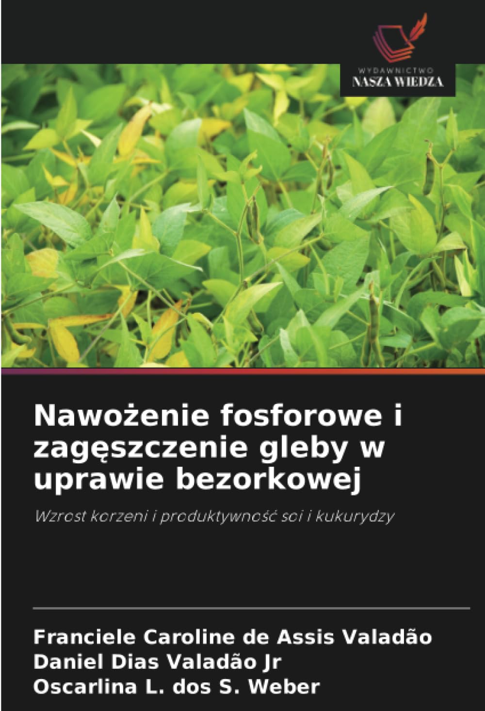 Nawożenie fosforowe i zagęszczenie gleby w uprawie bezorkowej: Wzrost korzeni i produktywno¿¿ soi i kukurydzy