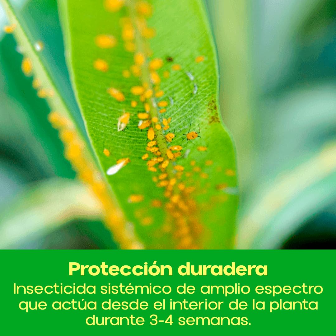 Insecticida Sistémico Epinsel 250ml | Insecticida Eficaz Anti Pulgones, Cochinilla, Mosca Blanca, Escarabajo de Patata y Minadores | Protección Hasta 4 Semanas en Jardines y Huertos | Nexum Market