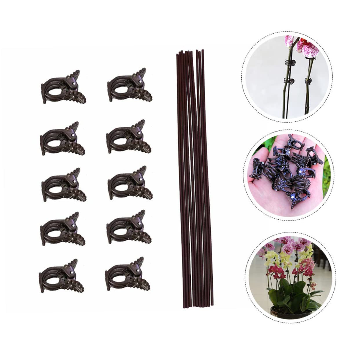 Toddmomy 2 Sätze Teiliges Set Pflanzenfixierungsclips Und Eisenstützen Für Kletterpflanzen Wetterfeste Und Rostfreie Halterungen Für Garten Für Orchideen Und Rankpflanzen 20 Stück * 2