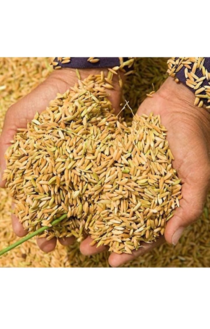 "Grow with Confidence: Premium Paddy Seeds for a Bountiful Harvest" "Grow with Confidence: Premium Paddy Seeds for a Bountiful Harvest" 500gm (B0CYQDZ1YV) Amazon Price History, Amazon Price Tracker