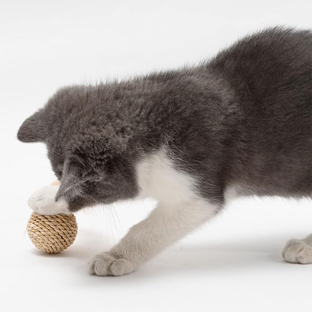 Foto 3 de 7 de BIGULA Juguete interactivo de bola de ratán con pajilla para gatos pequeños