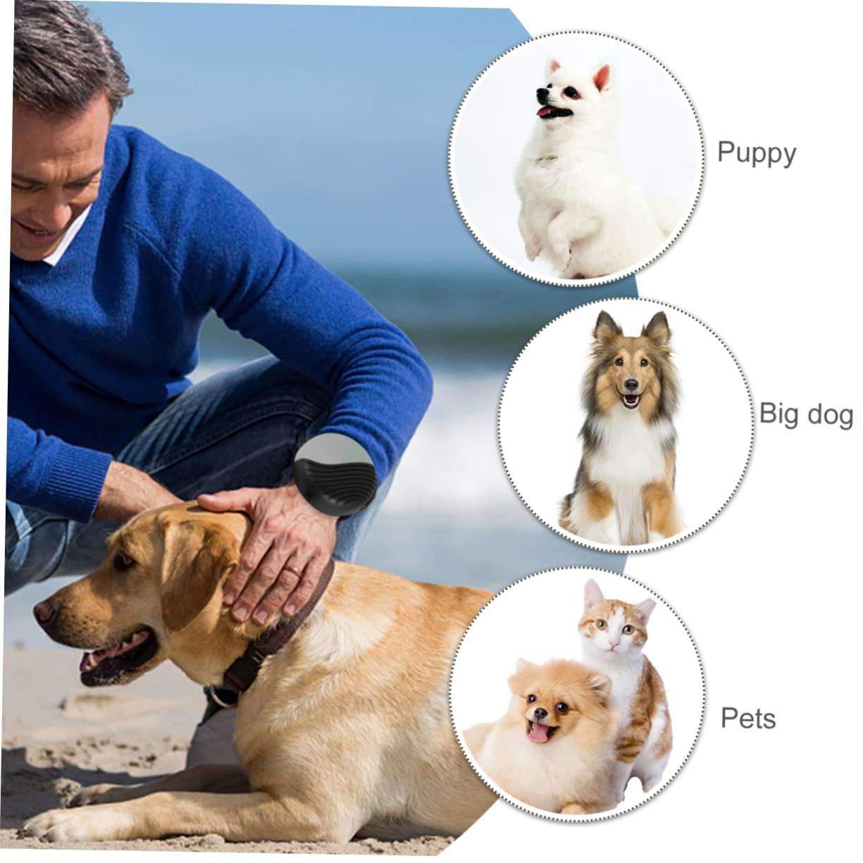 Sosoport 1pieza Correa Automática para Perros De Nylon Extensible Cuerda De Tracción De Strap De Entrenamiento para Mascotas para Paseos Jogging y Camping