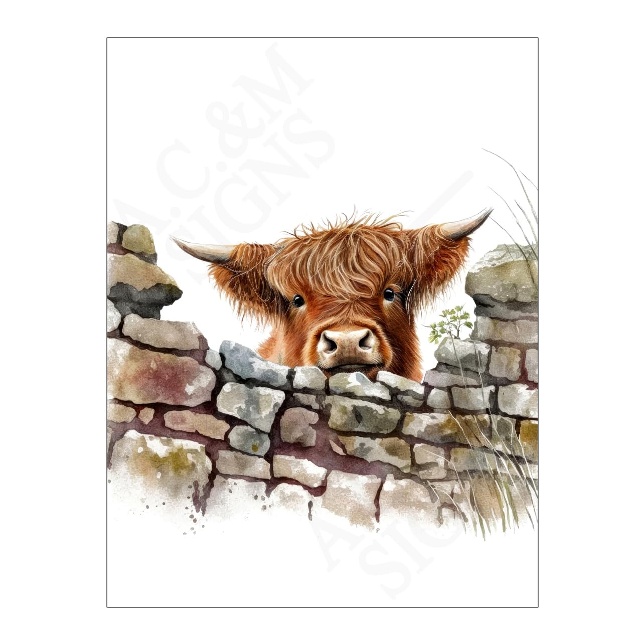 Cute Peeking Highland Cow Wall Art Metal Sign Poster 15575, 10.6 x 8in