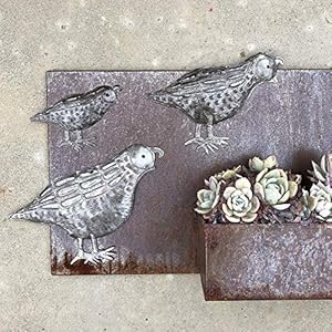 it's cactus - metal art haiti Decorative Quail Birds, Set of 3, Indoor Outdoor, Home Figurines, Coastal Birds, Authentic Upcycled Artwork, 11 In. x 7 In., 8 In. x 6 In., 6 In. x 4 In. its cactus metal art haiti Decorative Quail Birds Set of 3 Indoor Outdoor Home Figurines Coastal Birds Authentic Upcycled Artwork 11 In x 7 In 8 In x 6 In 6 In x 4 In