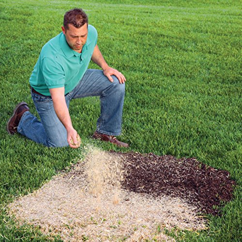 Ez Straw Seeding Mulch With Tack - Biodegradable Natural Processed Straw – 2.5 Cu Ft Bale (Covers Up To 500 Sq. Ft.), Multi #TOP3