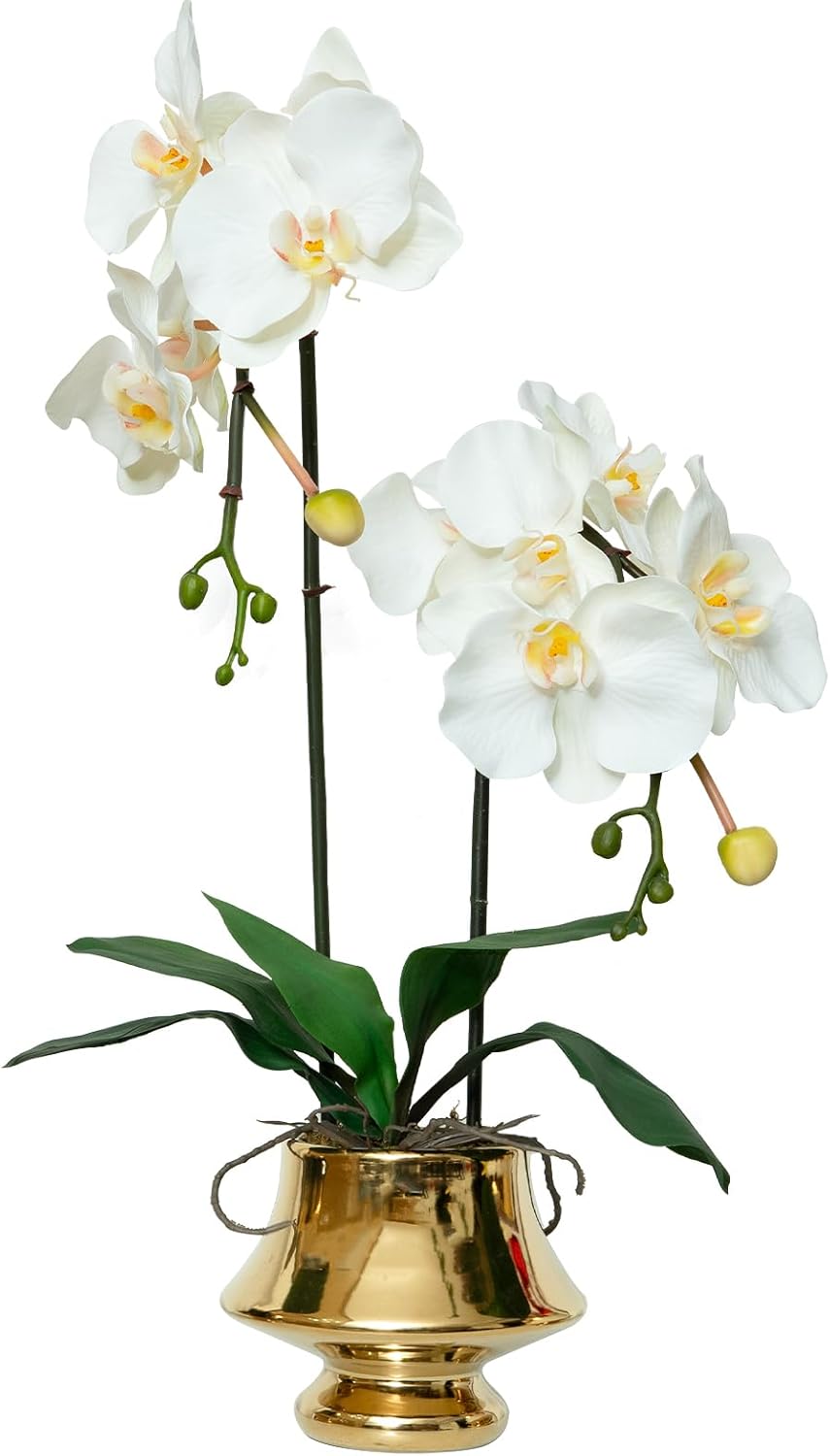 CXGS Orchids Artificial Flowers Realistic Fake Flowers in Ceramic Vase 20" White Faux Plants Indoor Lifelike Soft PU Phalaenopsis for Centerpiece Hotel Home Decor