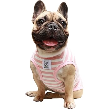 french bulldog clothes amazon
