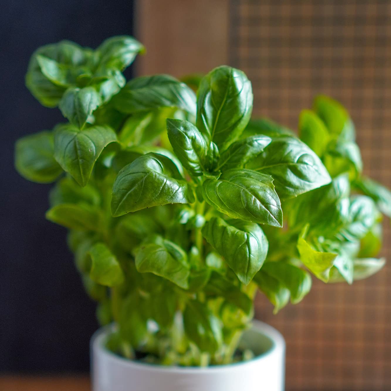 Minihuerto de Hierbas Aromáticas – Cultiva Perejil, Albahaca y Cilantro en Casa | Kit Completo con Macetas Biodegradables y Semillas | Ideal para Cocina, Regalo y Principiantes | Resetea