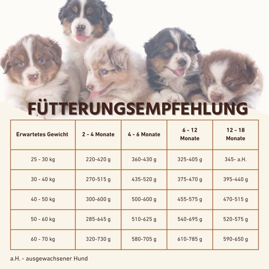 Wildfang® Trockenfutter für Hunde 6kg – Premium Hundetrockenfutter mit Lachs, Getreidefrei & glutenfrei, mit natürlichen Zutaten, ohne Zuckerzusatz, Welpenfutter trocken für Hunde – 1er Pack