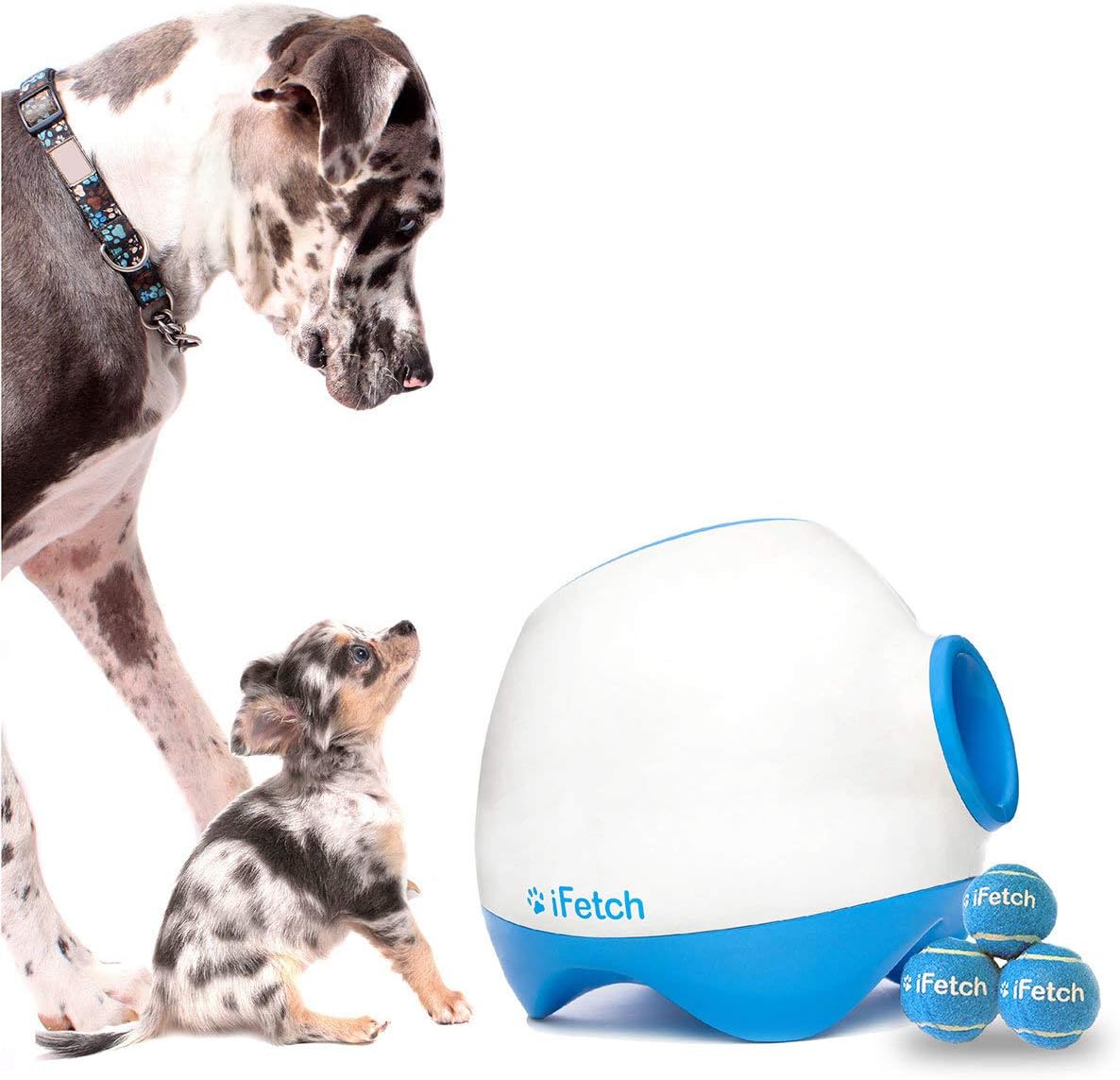 iFetchToo Pet Toy