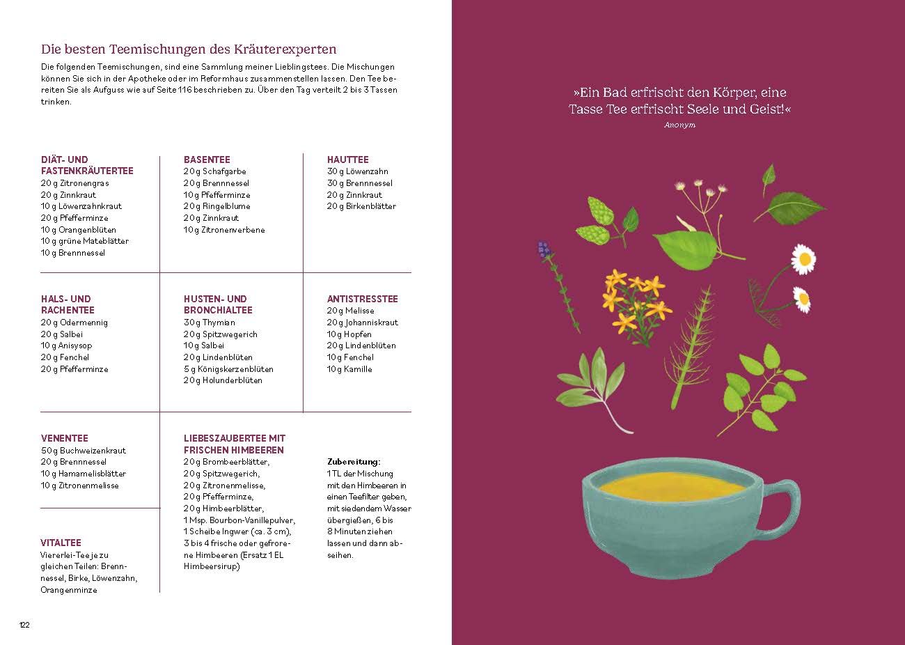 Heilen mit pflanzlichen Antibiotika: Mit 200 Rezepturen für Ihre Gesundheit. Kräutermedizin für starke Abwehrkräfte